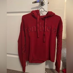 Abercrombie and Fitch Lightweight Hoodie